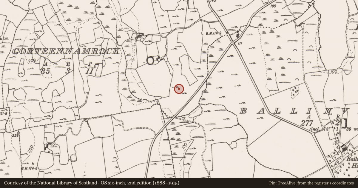 Ordnance Survey six-inch map, 2nd edition (1888–1915) covering the location of Ringfort - rath, Ballyvockoge, County Limerick, with a pin at the register's coordinates