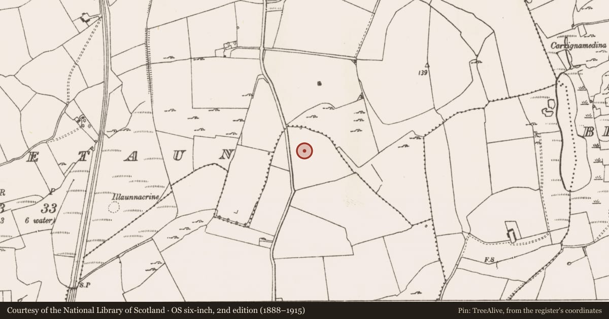 Ordnance Survey six-inch map, 2nd edition (1888–1915) covering the location of Standing stone, Rathkeale, County Limerick, with a pin at the register's coordinates