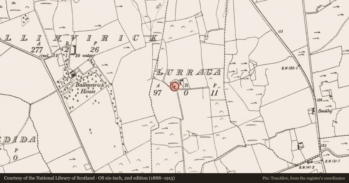 Ordnance Survey six-inch map, 2nd edition (1888–1915) covering the location of Enclosure, Lurraga, County Limerick, with a pin at the register's coordinates
