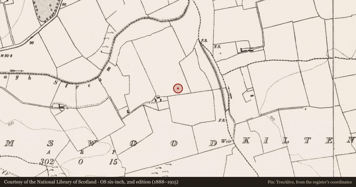 Ordnance Survey six-inch map, 2nd edition (1888–1915) covering the location of Excavation - miscellaneous, Adamswood, County Limerick, with a pin at the register's coordinates