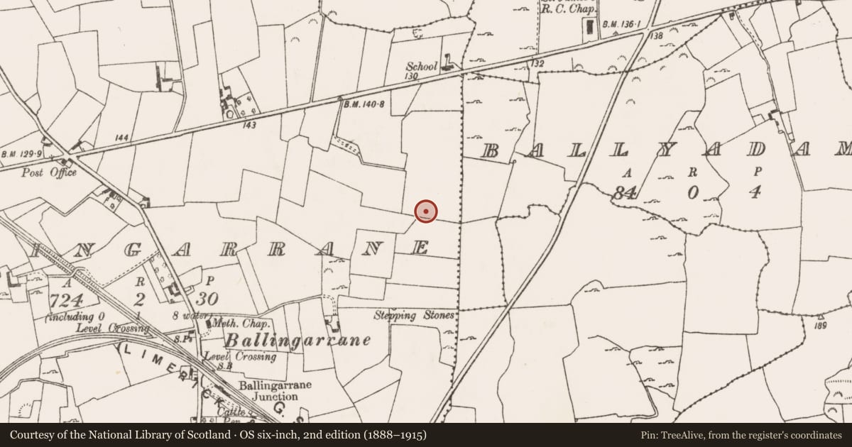 Ordnance Survey six-inch map, 2nd edition (1888–1915) covering the location of Burnt mound, Ballingarrane, County Limerick, with a pin at the register's coordinates