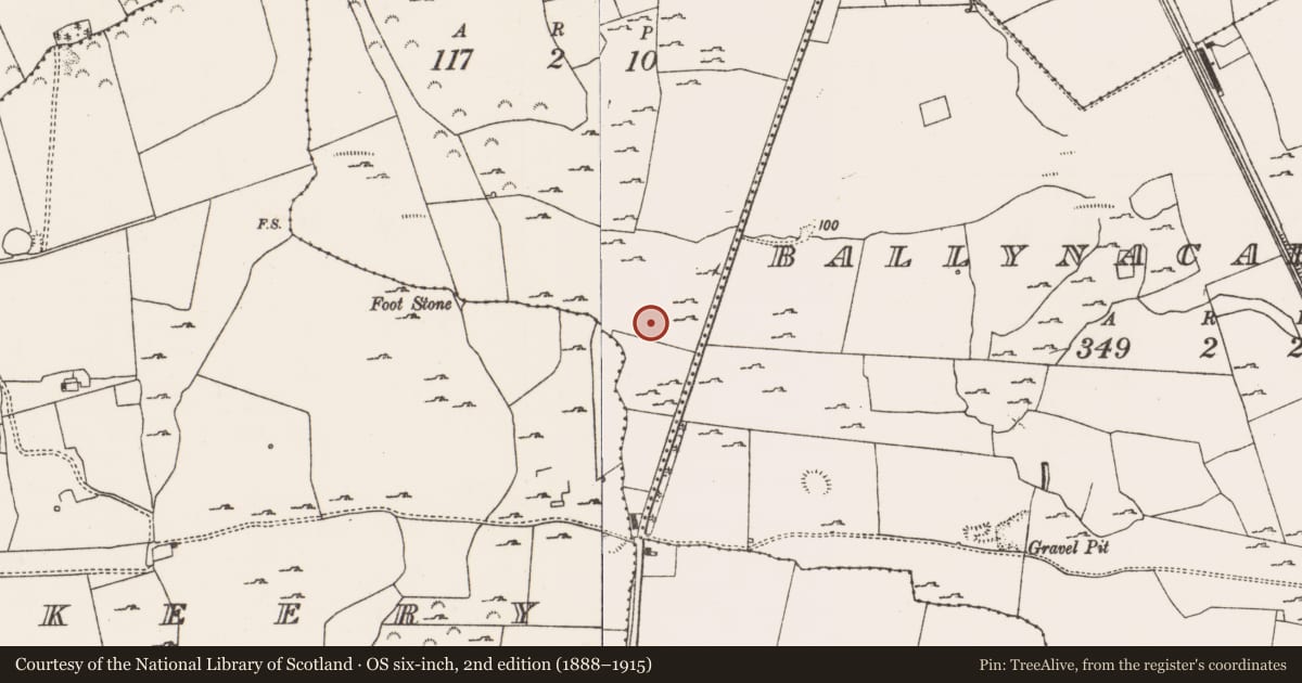 Ordnance Survey six-inch map, 2nd edition (1888–1915) covering the location of Excavation - miscellaneous, Baunreagh, County Limerick, with a pin at the register's coordinates