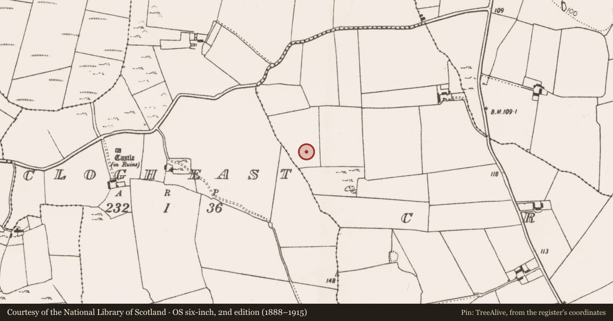 Ordnance Survey six-inch map, 2nd edition (1888–1915) covering the location of Flat cemetery, Croagh, County Limerick, with a pin at the register's coordinates