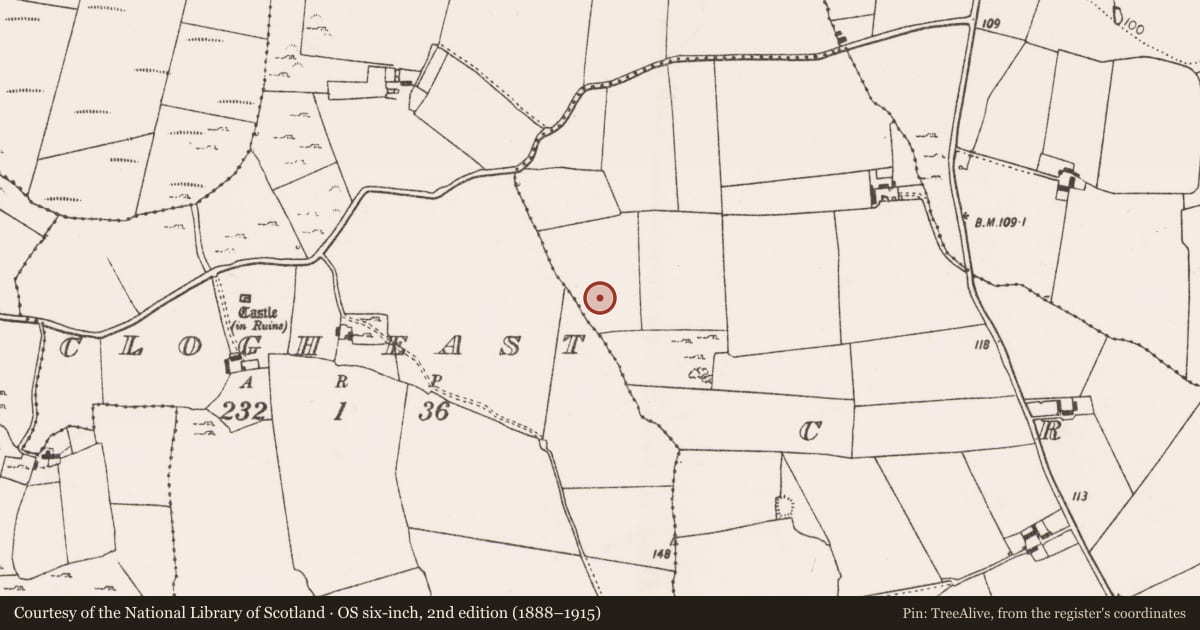 Ordnance Survey six-inch map, 2nd edition (1888–1915) covering the location of Flat cemetery, Croagh, County Limerick, with a pin at the register's coordinates