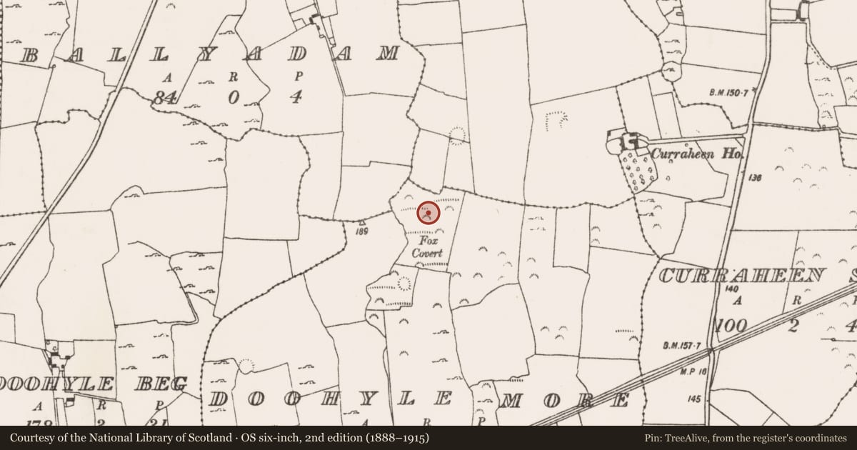 Ordnance Survey six-inch map, 2nd edition (1888–1915) covering the location of Excavation - miscellaneous, Doohyle More, County Limerick, with a pin at the register's coordinates