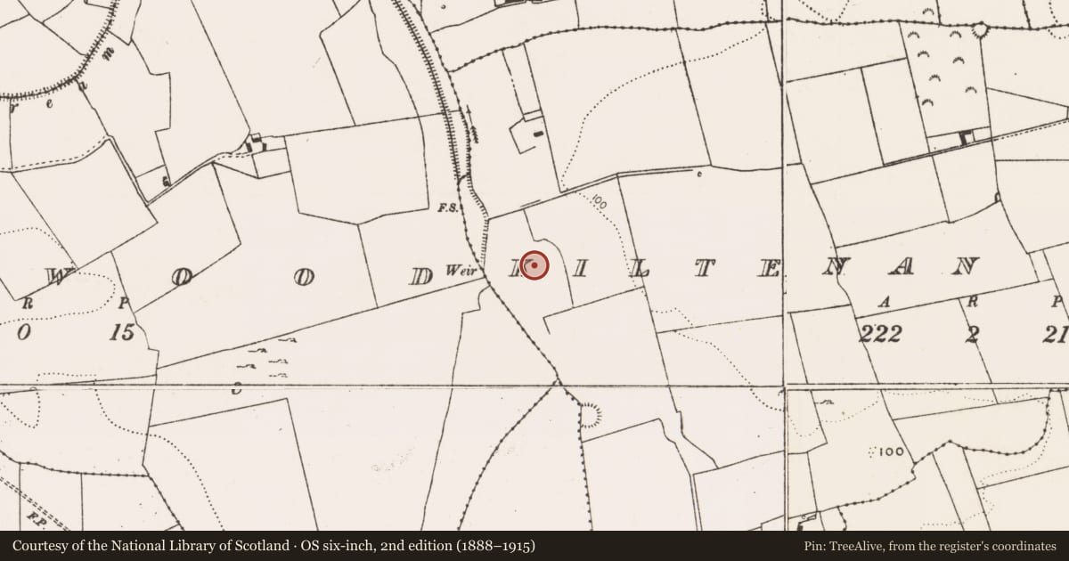 Ordnance Survey six-inch map, 2nd edition (1888–1915) covering the location of Fulacht fia, Kiltenan North, County Limerick, with a pin at the register's coordinates
