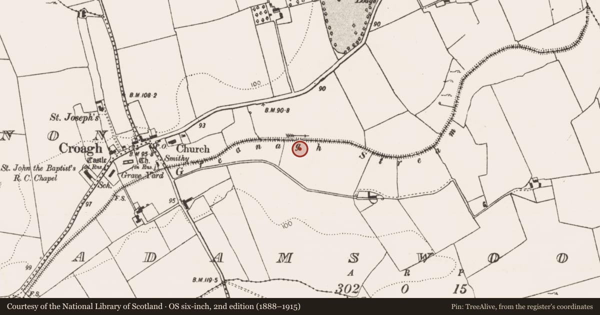 Ordnance Survey six-inch map, 2nd edition (1888–1915) covering the location of Fulacht fia, Adamswood, County Limerick, with a pin at the register's coordinates