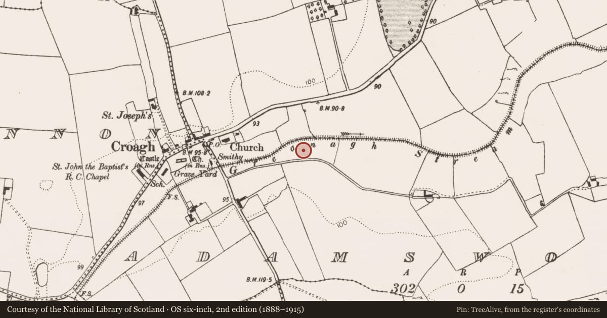 Ordnance Survey six-inch map, 2nd edition (1888–1915) covering the location of Fulacht fia, Adamswood, County Limerick, with a pin at the register's coordinates