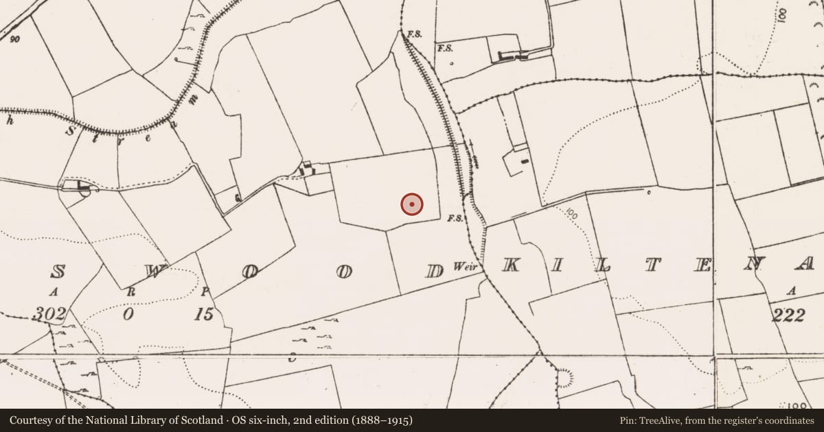 Ordnance Survey six-inch map, 2nd edition (1888–1915) covering the location of Hearth, Adamswood, County Limerick, with a pin at the register's coordinates