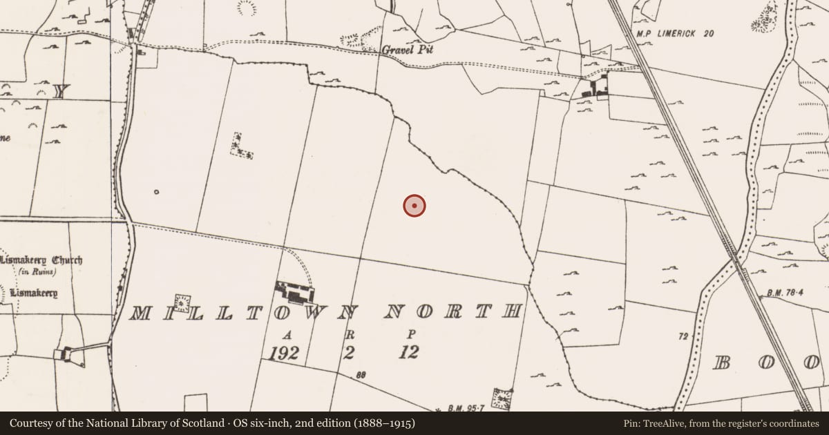 Ordnance Survey six-inch map, 2nd edition (1888–1915) covering the location of Fulacht fia, Milltown North, County Limerick, with a pin at the register's coordinates
