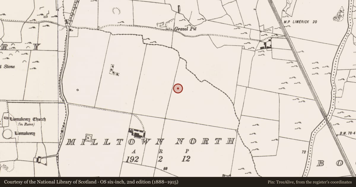 Ordnance Survey six-inch map, 2nd edition (1888–1915) covering the location of Excavation - miscellaneous, Milltown North, County Limerick, with a pin at the register's coordinates