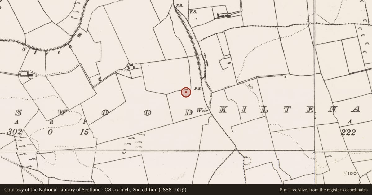 Ordnance Survey six-inch map, 2nd edition (1888–1915) covering the location of Hearth, Adamswood, County Limerick, with a pin at the register's coordinates