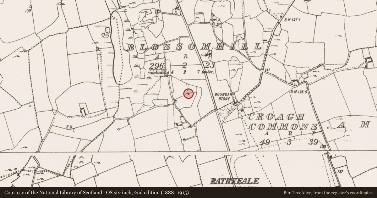 Ordnance Survey six-inch map, 2nd edition (1888–1915) covering the location of Enclosure, Blossomhill, County Limerick, with a pin at the register's coordinates