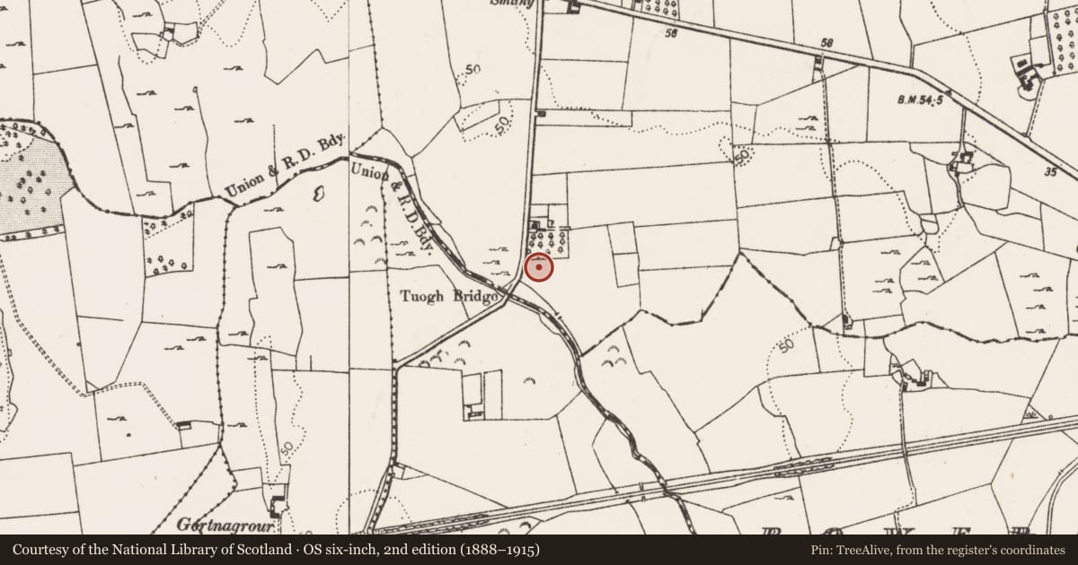 Ordnance Survey six-inch map, 2nd edition (1888–1915) covering the location of Mill - unclassified, Tuogh, County Limerick, with a pin at the register's coordinates