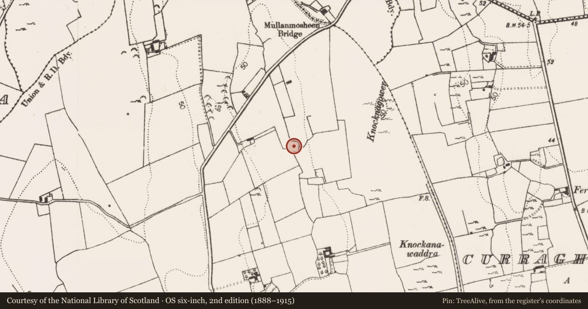 Ordnance Survey six-inch map, 2nd edition (1888–1915) covering the location of Ringfort - cashel, Tuogh, County Limerick, with a pin at the register's coordinates