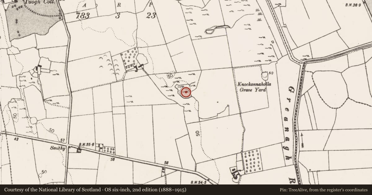 Ordnance Survey six-inch map, 2nd edition (1888–1915) covering the location of Ringfort - rath, Tuogh, County Limerick, with a pin at the register's coordinates