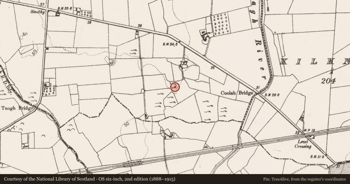 Ordnance Survey six-inch map, 2nd edition (1888–1915) covering the location of Ringfort - rath, Tuogh, County Limerick, with a pin at the register's coordinates