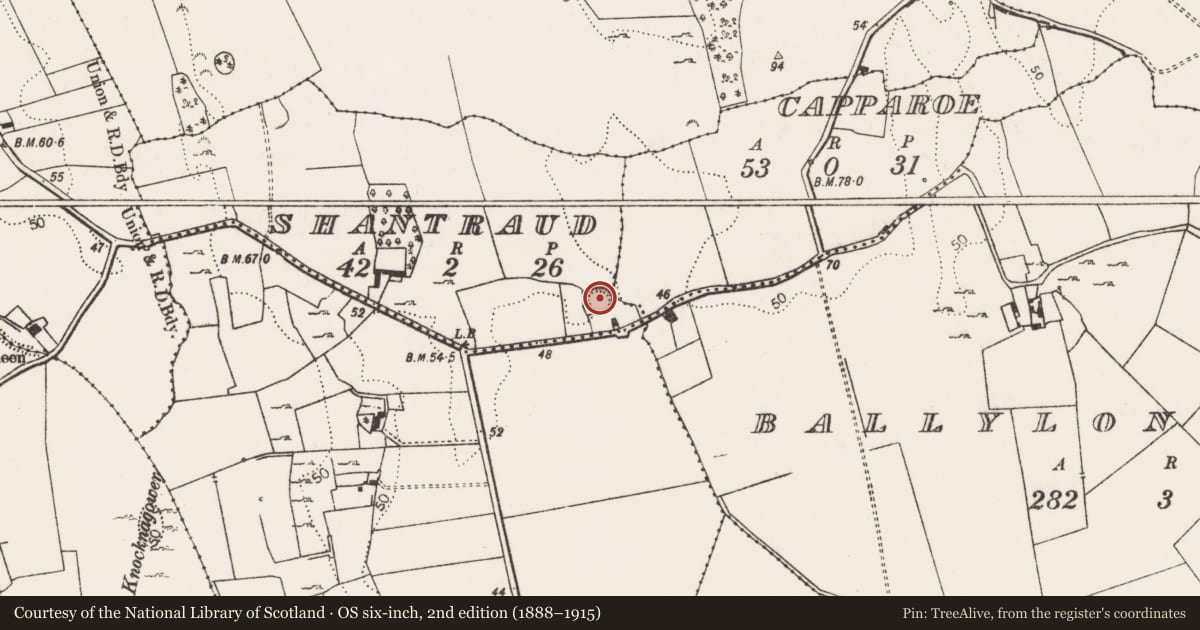 Ordnance Survey six-inch map, 2nd edition (1888–1915) covering the location of Ringfort - rath, Shantraud, County Limerick, with a pin at the register's coordinates
