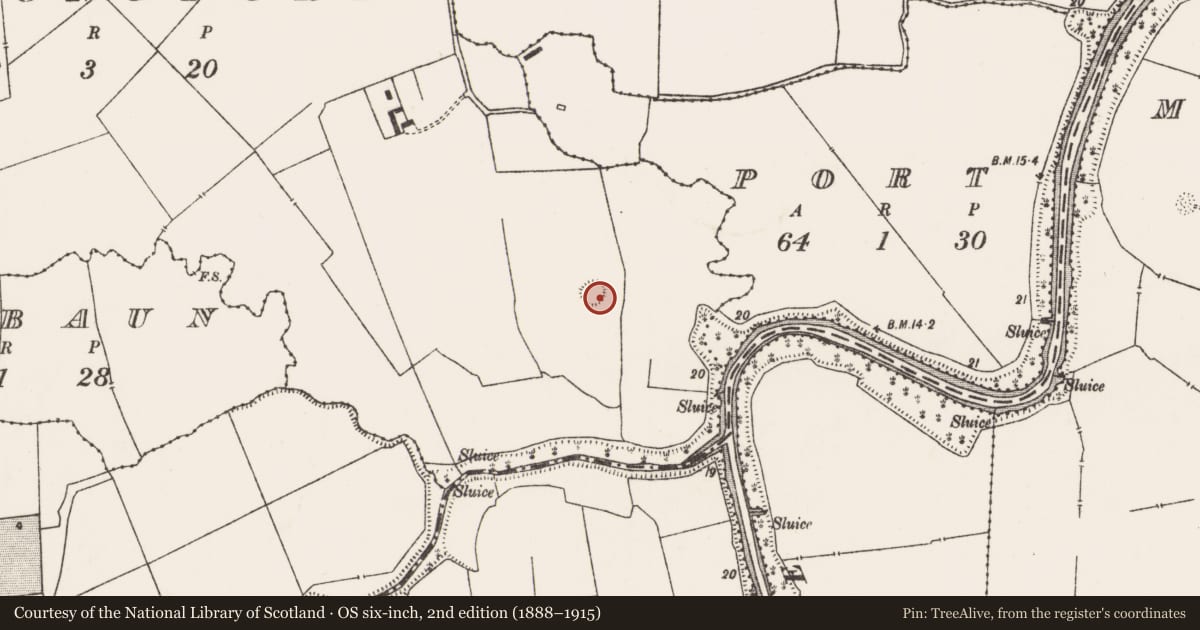 Ordnance Survey six-inch map, 2nd edition (1888–1915) covering the location of Ringfort - rath, Ballylongford, County Limerick, with a pin at the register's coordinates