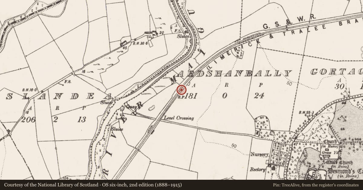 Ordnance Survey six-inch map, 2nd edition (1888–1915) covering the location of Ringfort - unclassified, Ardshanbally, County Limerick, with a pin at the register's coordinates