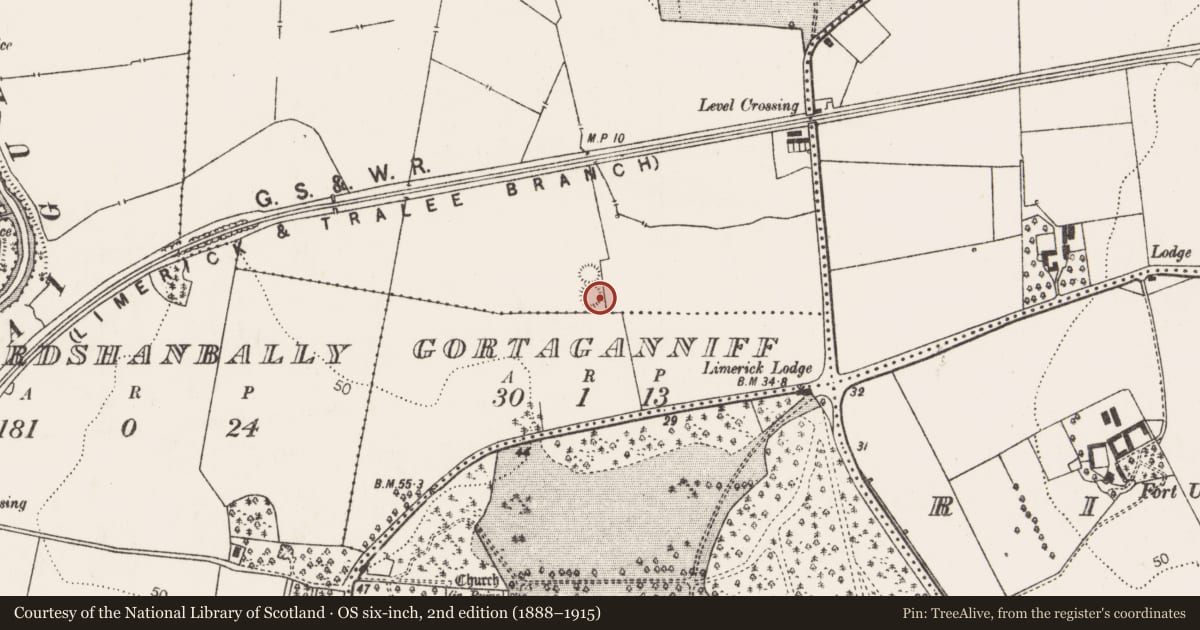 Ordnance Survey six-inch map, 2nd edition (1888–1915) covering the location of Ringfort - rath, Mondellihy, County Limerick, with a pin at the register's coordinates