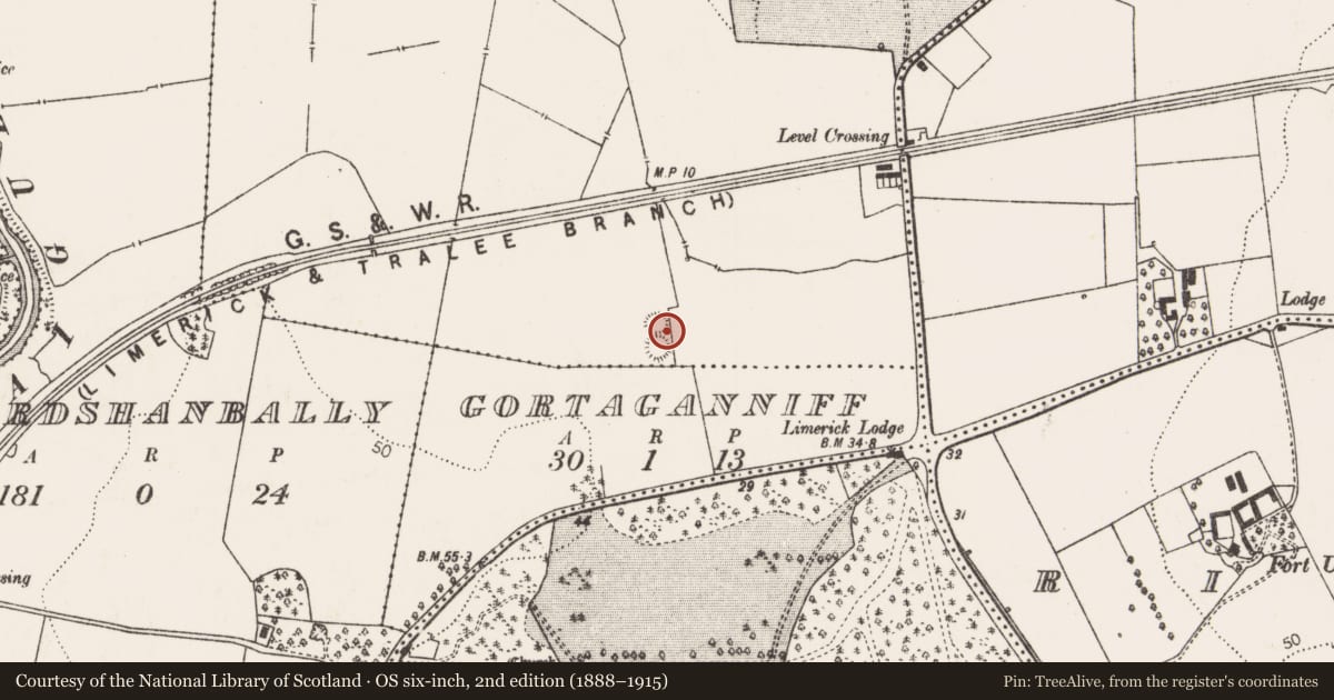 Ordnance Survey six-inch map, 2nd edition (1888–1915) covering the location of Ringfort - cashel, Mondellihy, County Limerick, with a pin at the register's coordinates