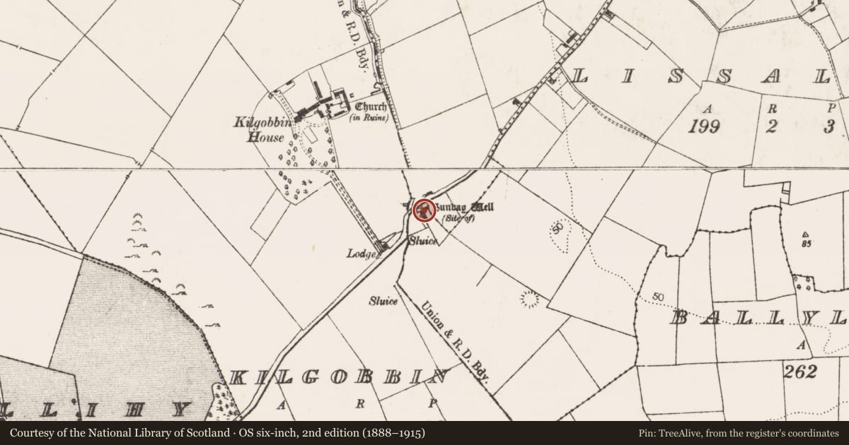 Ordnance Survey six-inch map, 2nd edition (1888–1915) covering the location of Ritual site - holy well, Lissaleen, County Limerick, with a pin at the register's coordinates