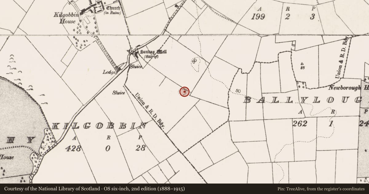 Ordnance Survey six-inch map, 2nd edition (1888–1915) covering the location of Ringfort - unclassified, Lissaleen, County Limerick, with a pin at the register's coordinates