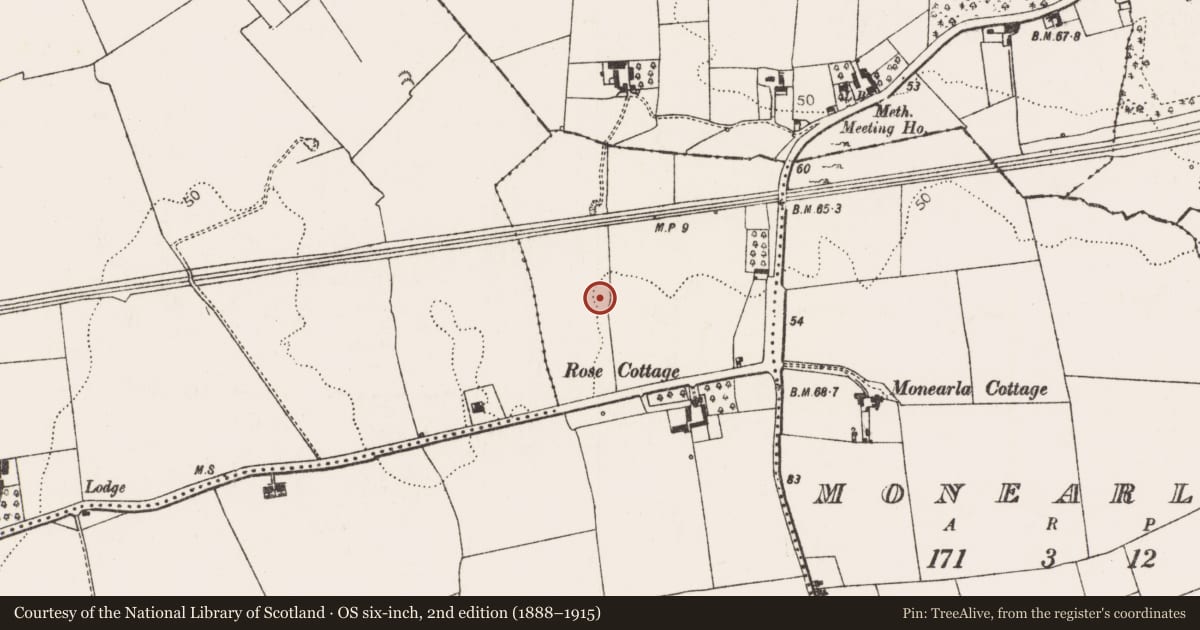 Ordnance Survey six-inch map, 2nd edition (1888–1915) covering the location of Ringfort - unclassified, Rineroe, County Limerick, with a pin at the register's coordinates