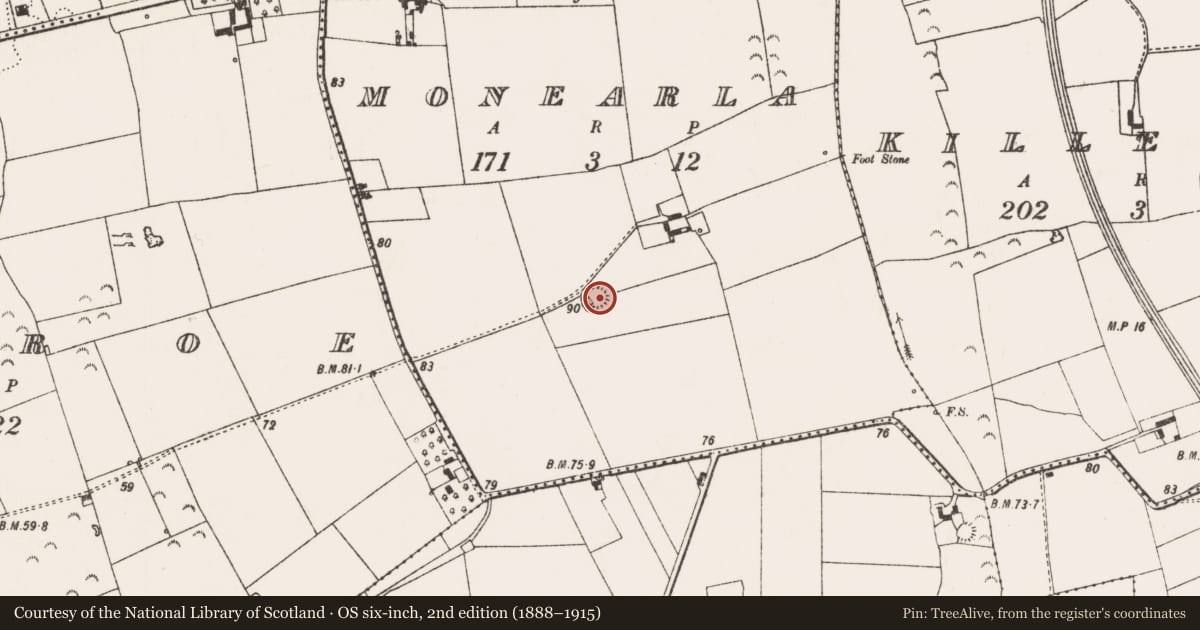 Ordnance Survey six-inch map, 2nd edition (1888–1915) covering the location of Ringfort - rath, Monearla, County Limerick, with a pin at the register's coordinates