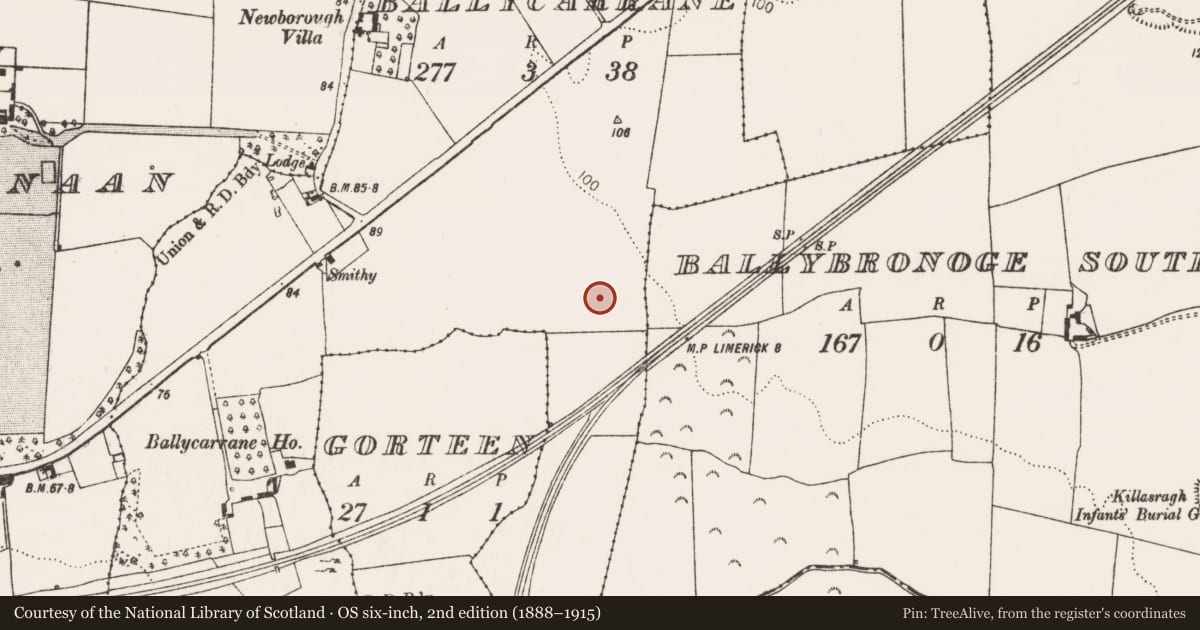 Ordnance Survey six-inch map, 2nd edition (1888–1915) covering the location of Ringfort - unclassified, Ballycarrane, County Limerick, with a pin at the register's coordinates
