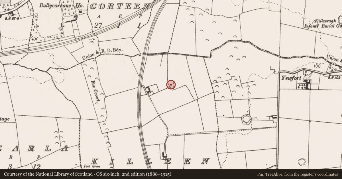 Ordnance Survey six-inch map, 2nd edition (1888–1915) covering the location of Children's burial ground, Killeen, County Limerick, with a pin at the register's coordinates