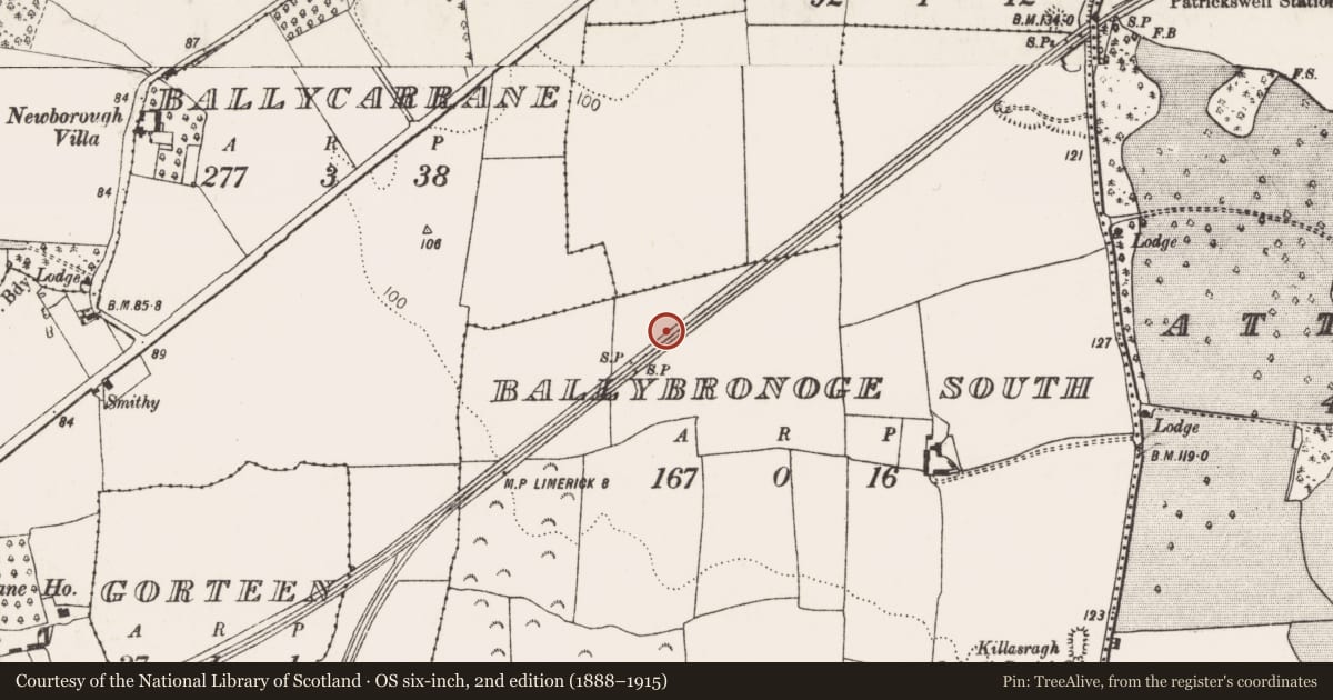 Ordnance Survey six-inch map, 2nd edition (1888–1915) covering the location of Ringfort - rath, Ballybronoge South, County Limerick, with a pin at the register's coordinates