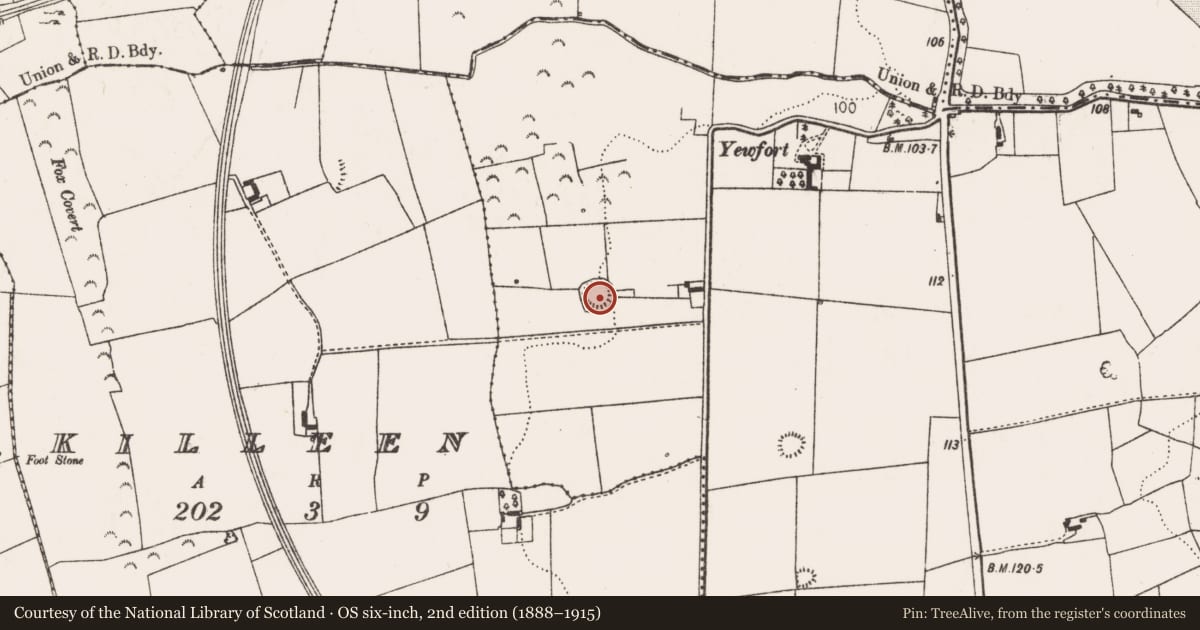 Ordnance Survey six-inch map, 2nd edition (1888–1915) covering the location of Ringfort - rath, Ballygeale, County Limerick, with a pin at the register's coordinates