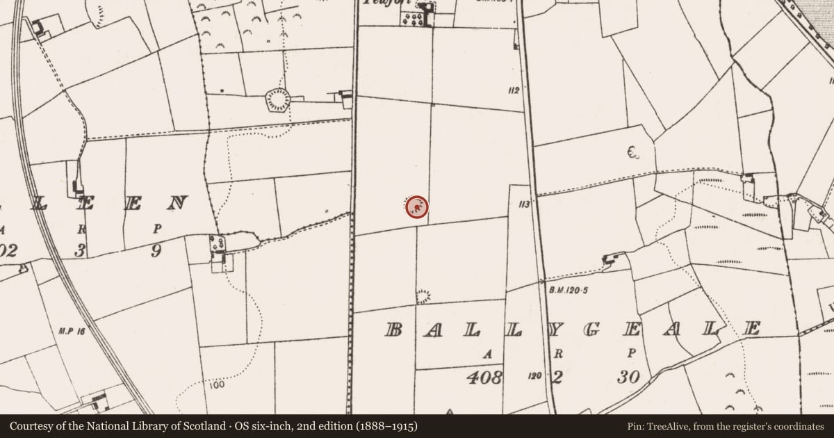 Ordnance Survey six-inch map, 2nd edition (1888–1915) covering the location of Ringfort - rath, Ballygeale, County Limerick, with a pin at the register's coordinates