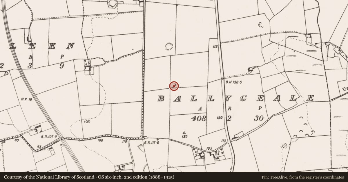 Ordnance Survey six-inch map, 2nd edition (1888–1915) covering the location of Ringfort - rath, Ballygeale, County Limerick, with a pin at the register's coordinates
