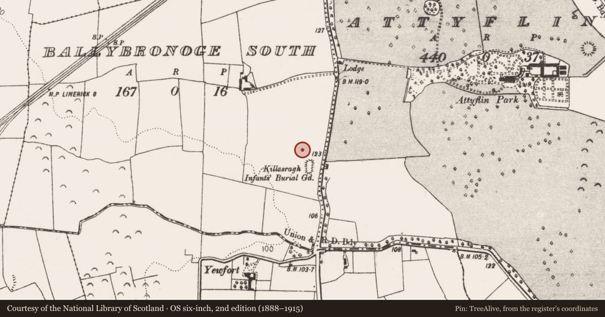 Ordnance Survey six-inch map, 2nd edition (1888–1915) covering the location of Settlement deserted - medieval, Ballybronoge South, County Limerick, with a pin at the register's coordinates