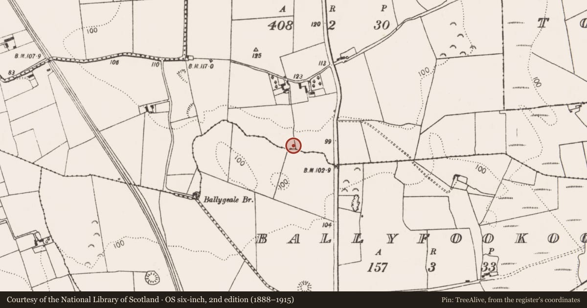 Ordnance Survey six-inch map, 2nd edition (1888–1915) covering the location of Burial mound, Ballygeale, County Limerick, with a pin at the register's coordinates