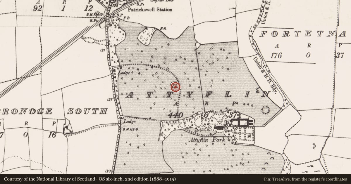 Ordnance Survey six-inch map, 2nd edition (1888–1915) covering the location of Designed landscape - tree-ring, Attyflin, County Limerick, with a pin at the register's coordinates