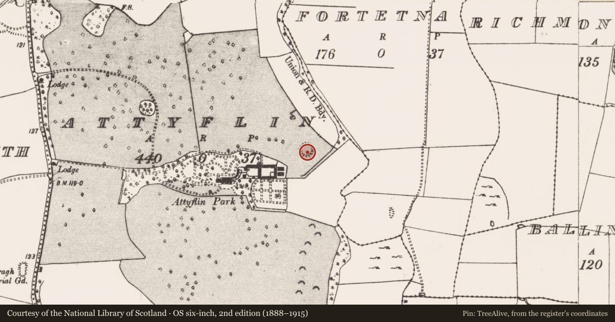 Ordnance Survey six-inch map, 2nd edition (1888–1915) covering the location of Ringfort - rath, Attyflin, County Limerick, with a pin at the register's coordinates