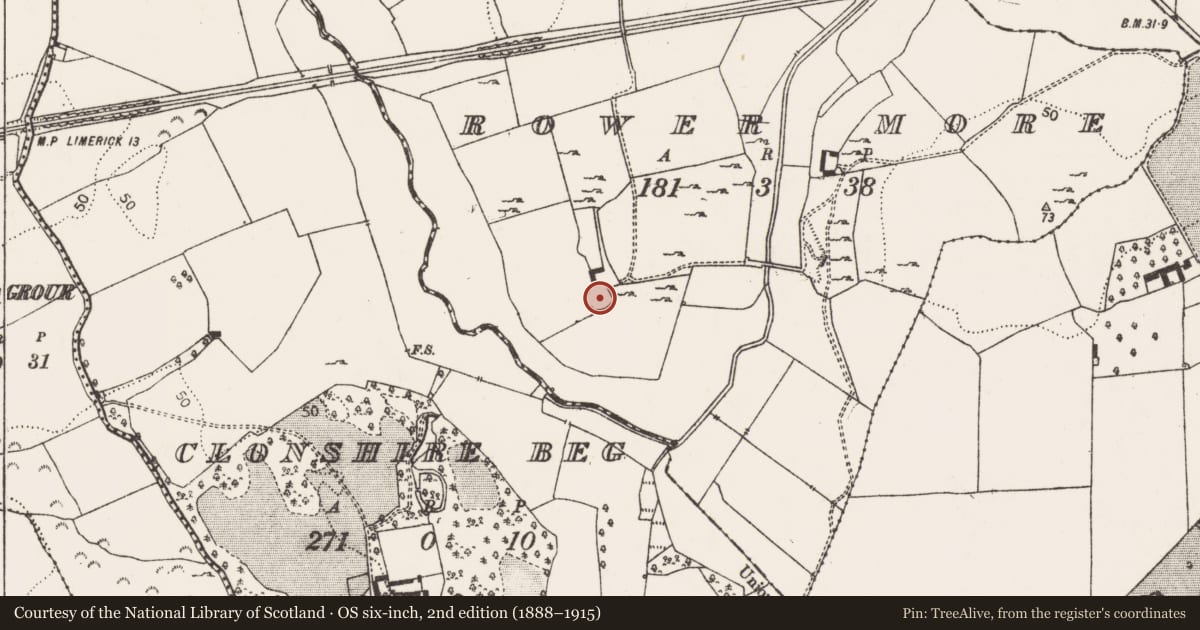 Ordnance Survey six-inch map, 2nd edition (1888–1915) covering the location of Enclosure, Rower More, County Limerick, with a pin at the register's coordinates