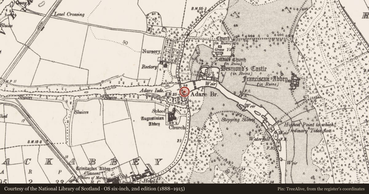 Ordnance Survey six-inch map, 2nd edition (1888–1915) covering the location of Bridge, Adare, Blackabbey, County Limerick, with a pin at the register's coordinates