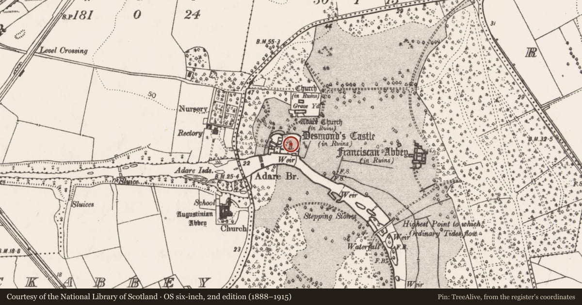 Ordnance Survey six-inch map, 2nd edition (1888–1915) covering the location of Castle - Anglo-Norman masonry castle, Adare, County Limerick, with a pin at the register's coordinates