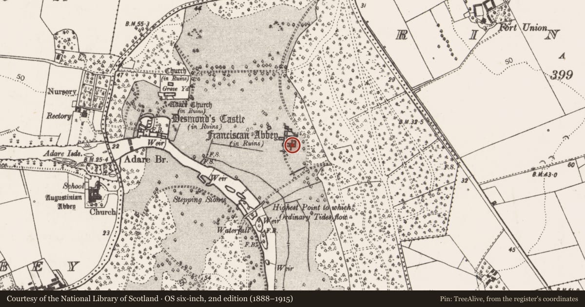 Ordnance Survey six-inch map, 2nd edition (1888–1915) covering the location of Religious house - Franciscan friars, Adare, County Limerick, with a pin at the register's coordinates