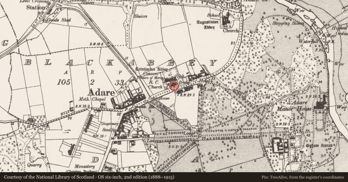 Ordnance Survey six-inch map, 2nd edition (1888–1915) covering the location of Religious house - Trinitarians, Blackabbey, County Limerick, with a pin at the register's coordinates