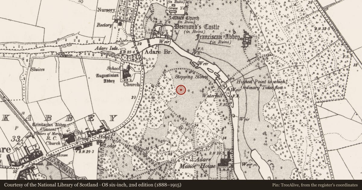 Ordnance Survey six-inch map, 2nd edition (1888–1915) covering the location of Town defences, Adare, Blackabbey, County Limerick, with a pin at the register's coordinates