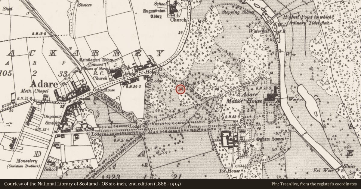 Ordnance Survey six-inch map, 2nd edition (1888–1915) covering the location of Excavation - miscellaneous, Adare, County Limerick, with a pin at the register's coordinates