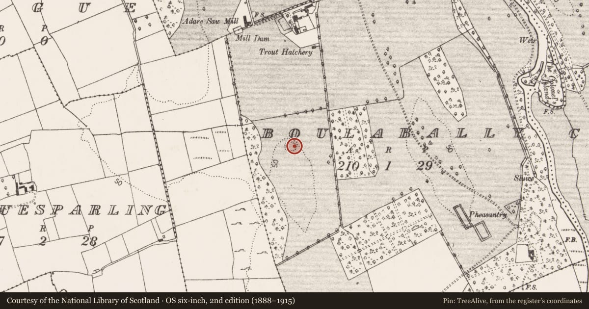 Ordnance Survey six-inch map, 2nd edition (1888–1915) covering the location of Ringfort - rath, Boulabally, County Limerick, with a pin at the register's coordinates