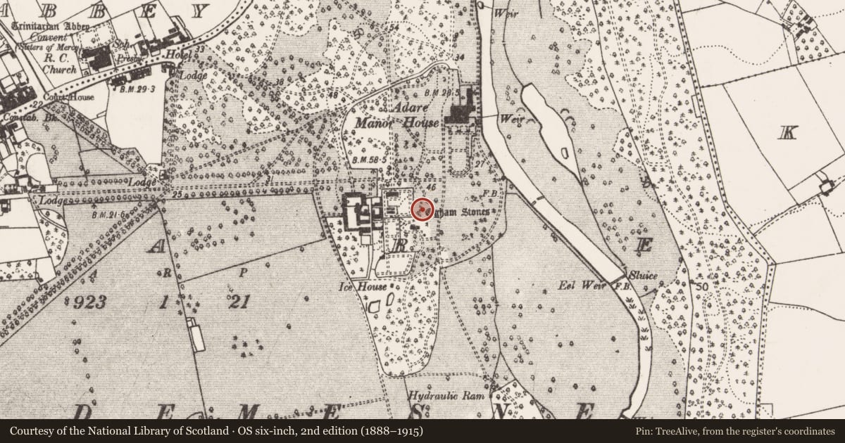 Ordnance Survey six-inch map, 2nd edition (1888–1915) covering the location of Ogham stone (present location), Adare, County Limerick, with a pin at the register's coordinates