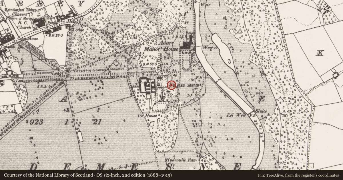 Ordnance Survey six-inch map, 2nd edition (1888–1915) covering the location of Cross-inscribed stone (present location), Adare, County Limerick, with a pin at the register's coordinates